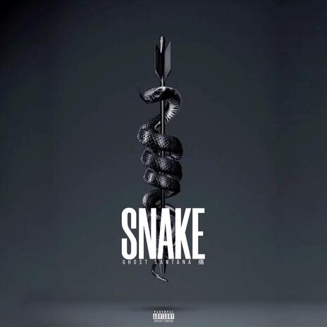 Snake | Boomplay Music