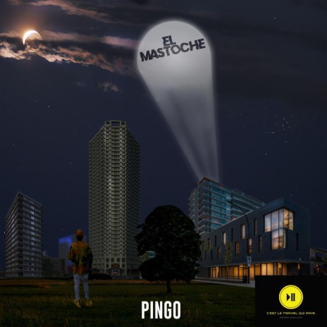 PINGO | Boomplay Music