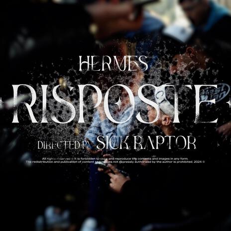 Risposte | Boomplay Music