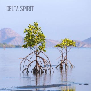 Delta Spirit