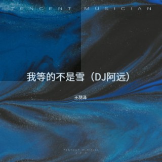 我等的不是雪（DJ加快版） lyrics | Boomplay Music