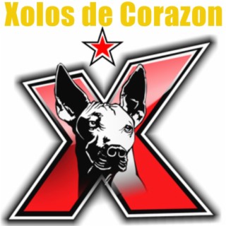 Xolos de Corazon