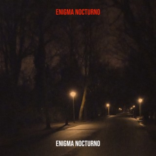 Enigma Nocturno