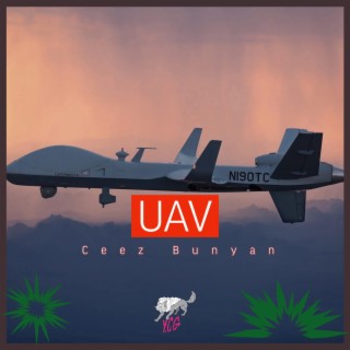 UAV