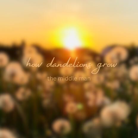 how dandelions grow | Boomplay Music