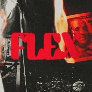 FLEX