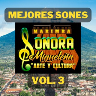 Marimba Sonora Migueleña (Vol. 3)