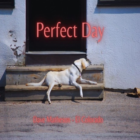 Perfect Day | Boomplay Music