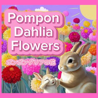 Pompon Dahlia Flowers 〜ポンポンダリアの花〜 (Remi Nachi Remix) ft. vocal:suno ai & Remi Nachi lyrics | Boomplay Music