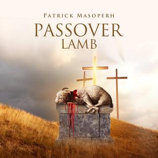 Passover Lamb