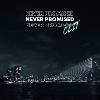 Never Promised