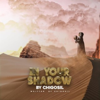 In Your Shadow lyrics | Boomplay Music