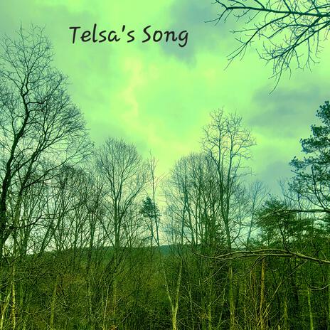 Telsa's Song | Boomplay Music