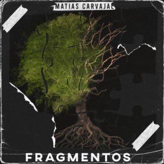 Fragmentos