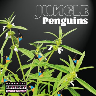 Jungle Penguins