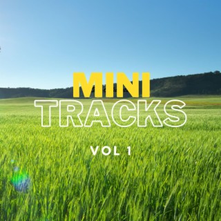 Mini Tracks, Vol. 1