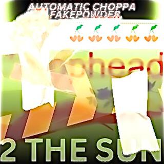 2 THE SUN