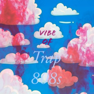 Vibe of trap 808s