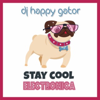 Stay Cool Electronica