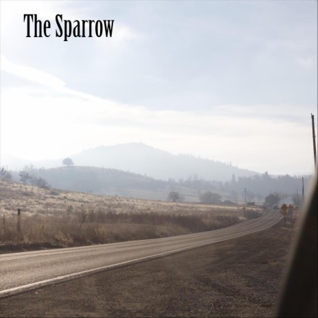 The Sparrow | Boomplay Music