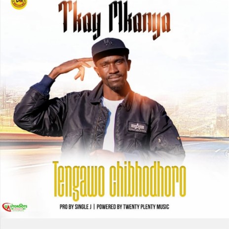 Tengawo Chibhodoro | Boomplay Music