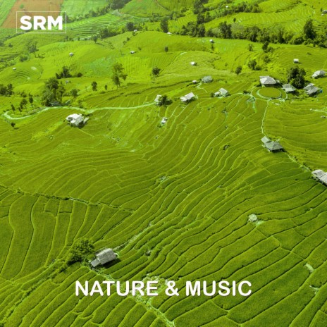 Nature and music (Relaxing Music) | Boomplay Music