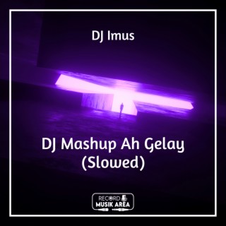 DJ Mashup Ah Gelay (Slowed)