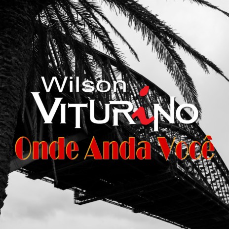 Onde Anda Voce (Cover) | Boomplay Music