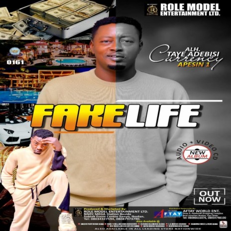 Fake Life | Boomplay Music
