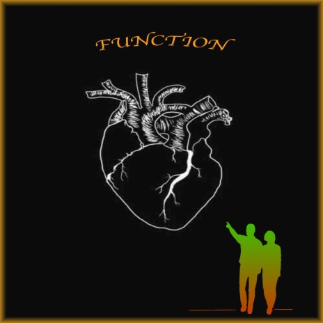 Function