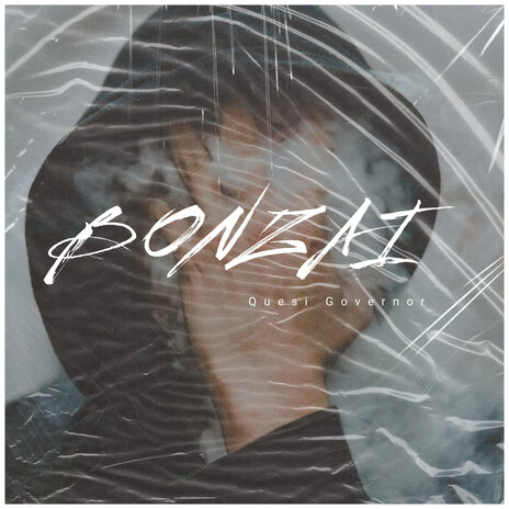 Bonzai | Boomplay Music