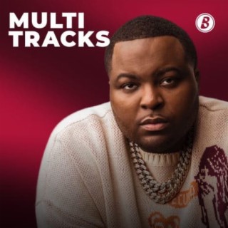 Multi Tracks