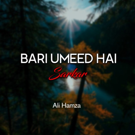 Bari Umeed Hai Sarkar | Boomplay Music