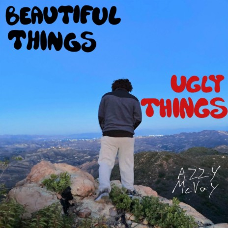 BEAUTIFUL THINGS UGLY THINGS | Boomplay Music