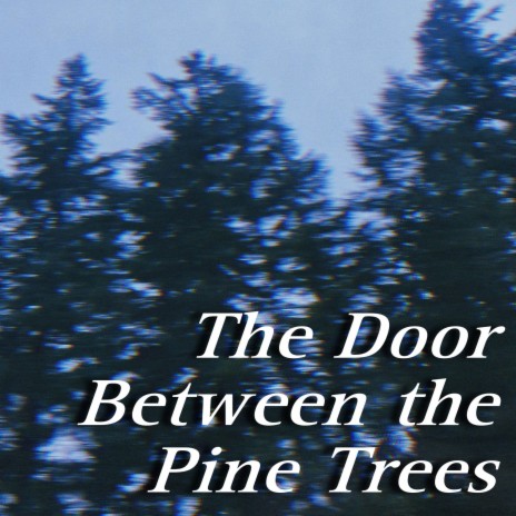The Door Between the Pine Trees