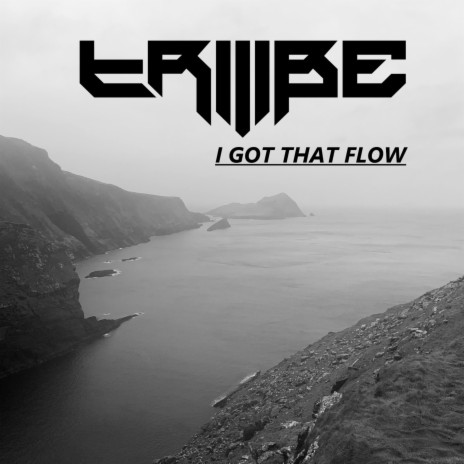 I Got That Flow | Boomplay Music