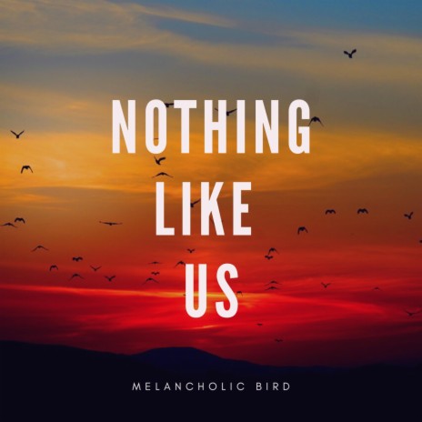 Nothing Like Us | Boomplay Music