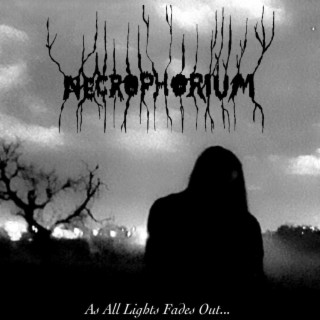 Necrophorium