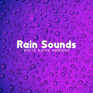 Rain Sounds: White Noise Ambient