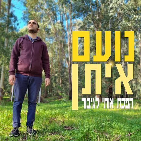 תחנת מעבר | Boomplay Music