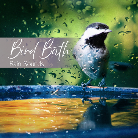 Pitter Patter Rainfall | Boomplay Music