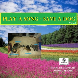Play a Song Save a Dog, Vol. 2