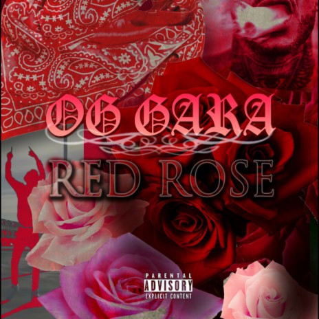 Red Rose | Boomplay Music