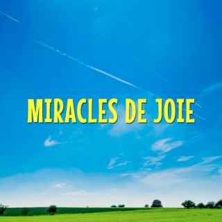 Miracles de joie