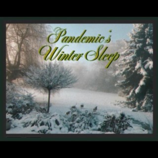 Pandemic's Winter Sleep
