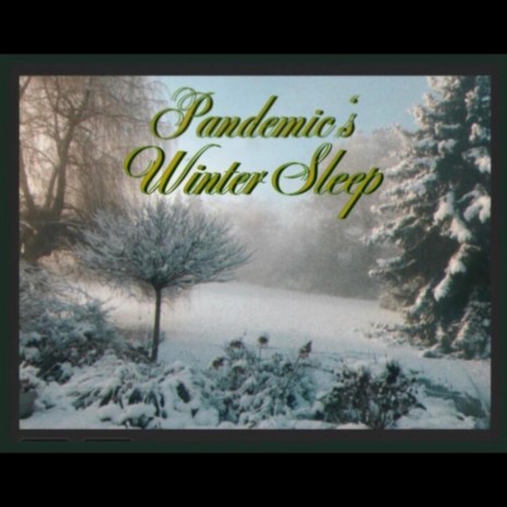 Pandemic's Winter Sleep | Boomplay Music