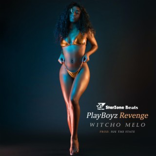 PlayBoyz Revenge lyrics | Boomplay Music