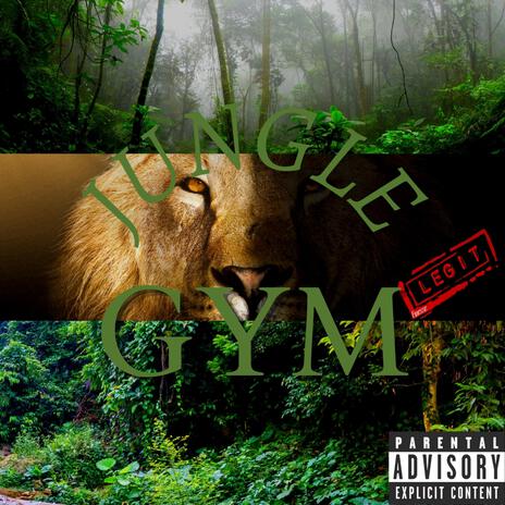 Jungle Gym | Boomplay Music