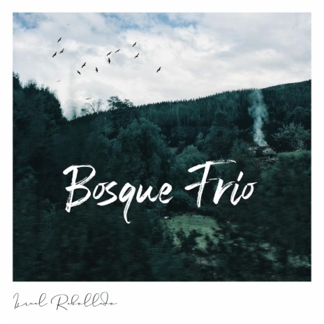 Bosque Frío | Boomplay Music