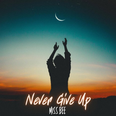 Never Give Up | Boomplay Music